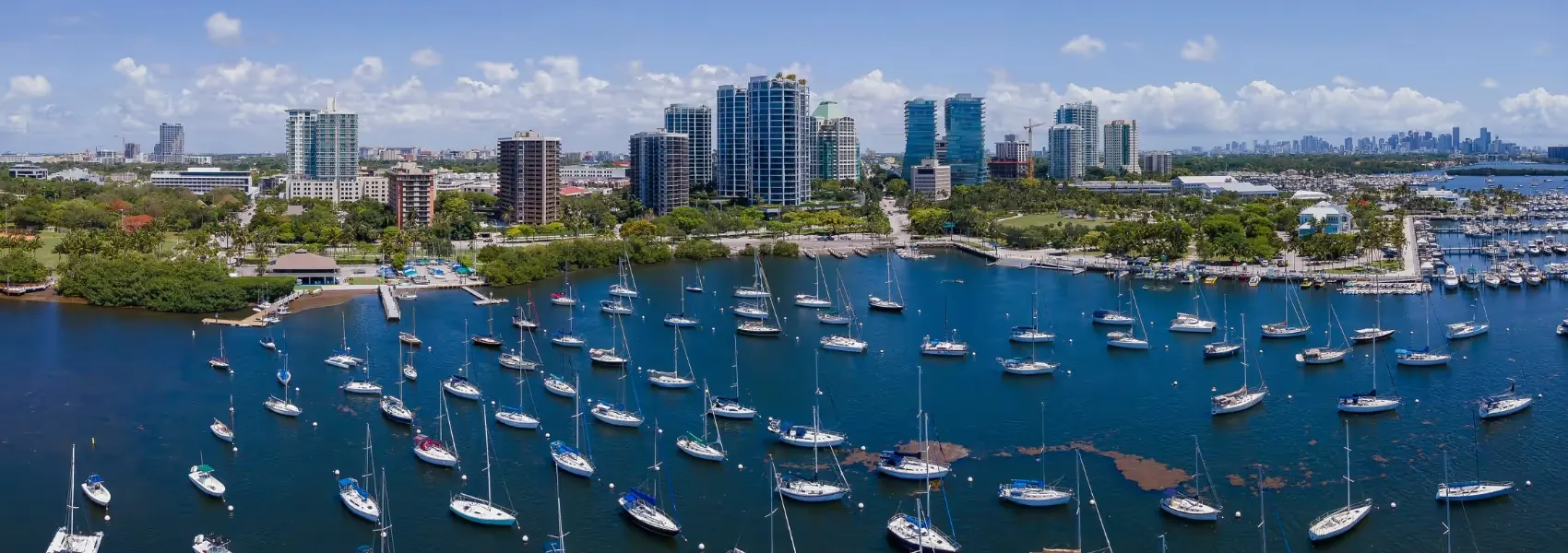 Coconut Grove