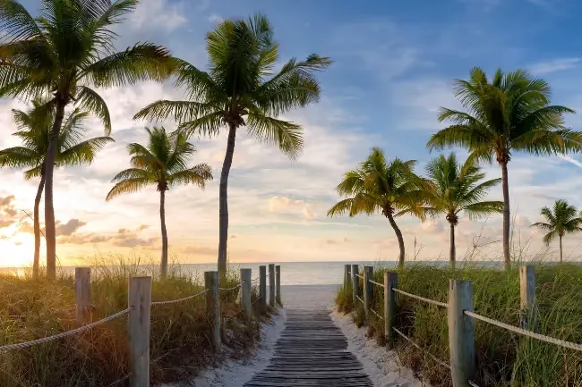 Miami Beach