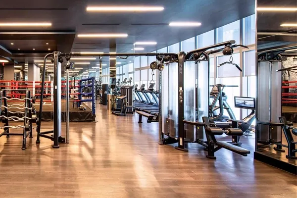 Gimnasio