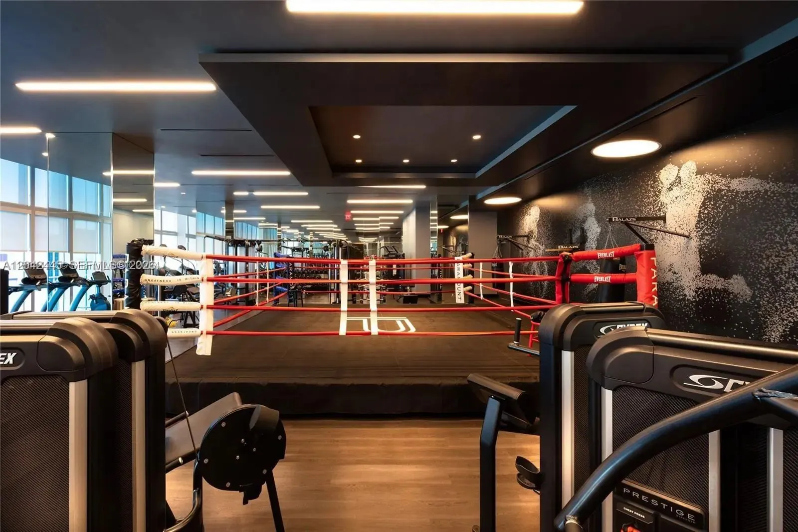 Fitness center and boxing ring